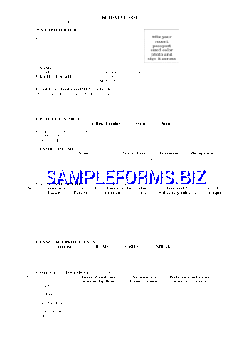 Biodata Application Form pdf free